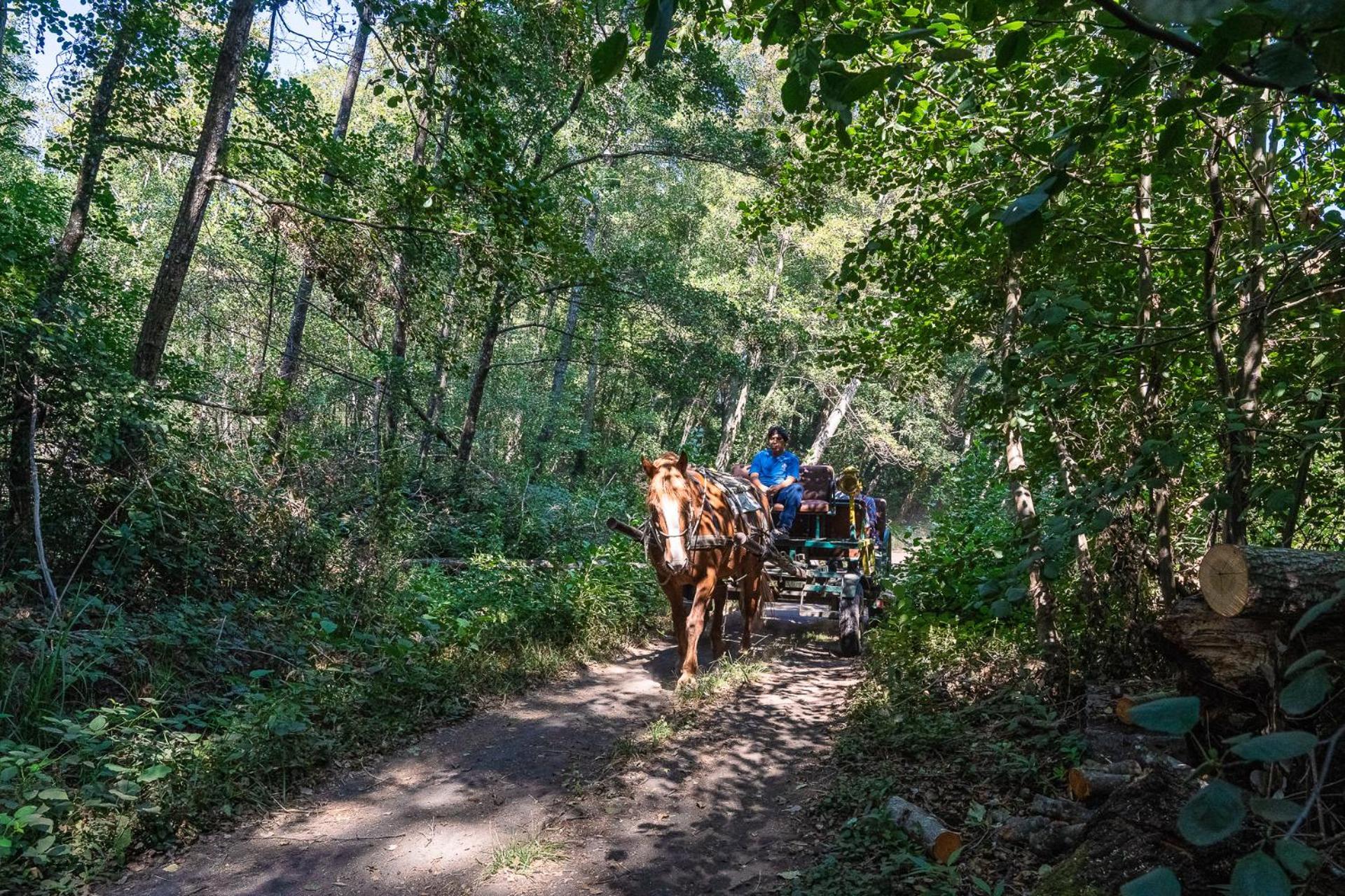 Hotel Salto Del Laja Лос-Анхелес Екстер'єр фото